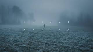 Antent & Nectry - Far away (slowed - 1hour loop) Net Worth