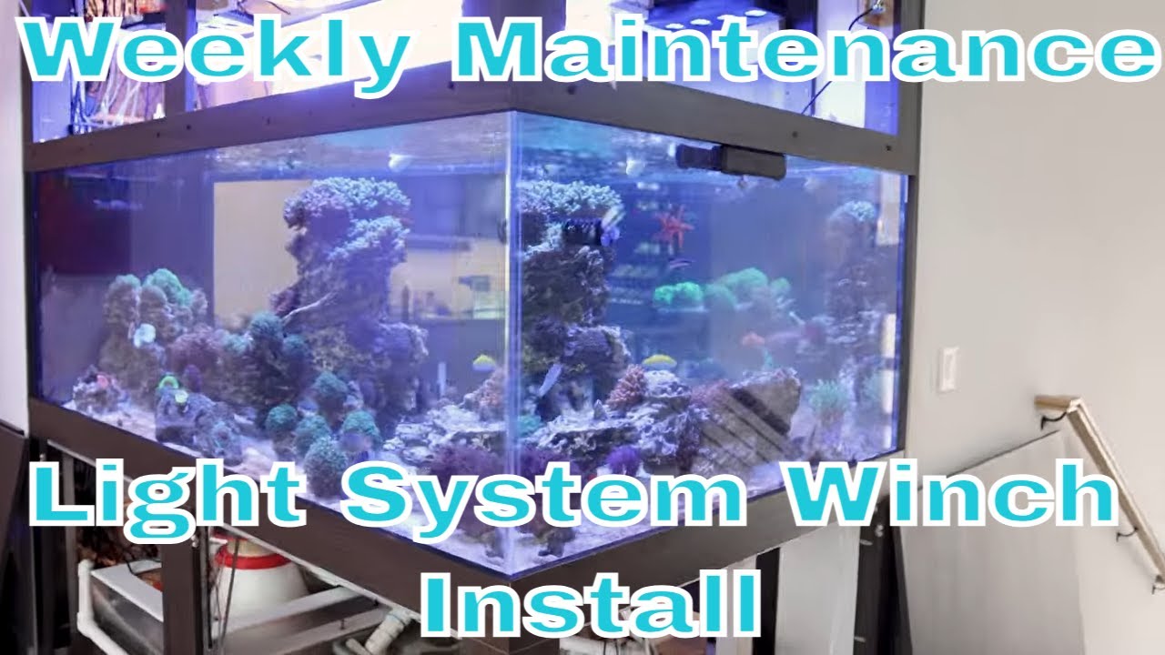 Photo inspiration: Visual Reference: Weekly Maintenance On Large Saltwater Aquarium And Winch Installation