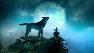 Unidentified Cold Case | Moondog