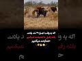 لاتی گنگدعوارفیق mp3