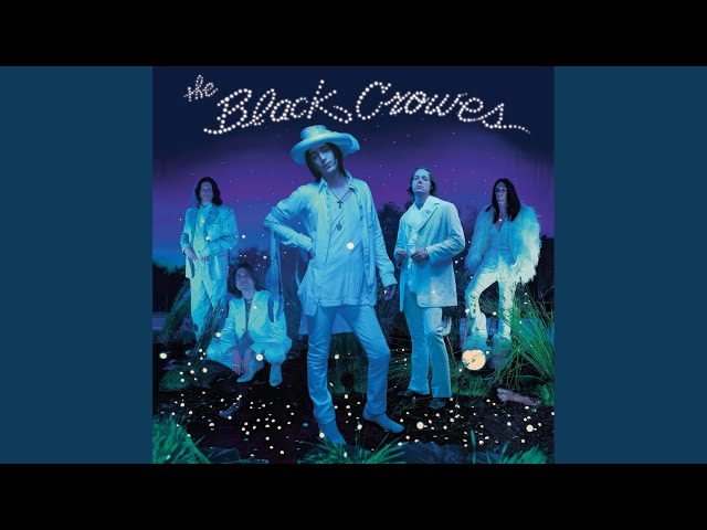 The Black Crowes - Only A Fool
