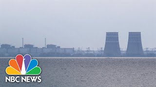 Zaporizhzhia Nuclear Power Plant Went 'Full Blackout' After Russian Shelling, Ukraine Says