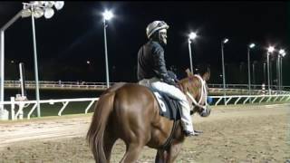 ASD   September 4, 2016   Race 5