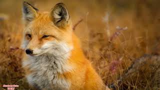 Abraham Hicks ~ PLEASE HELP ME I MADE A MISTAKE