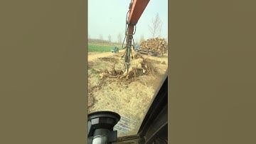 Pulling out tree roots is very simple, it