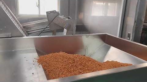 Shrimp Color Sorting/Sortex  Machine WIth Latest Technology.