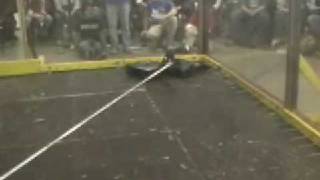 UB Bot Wars 2009 Finals: UBR vs. SAE