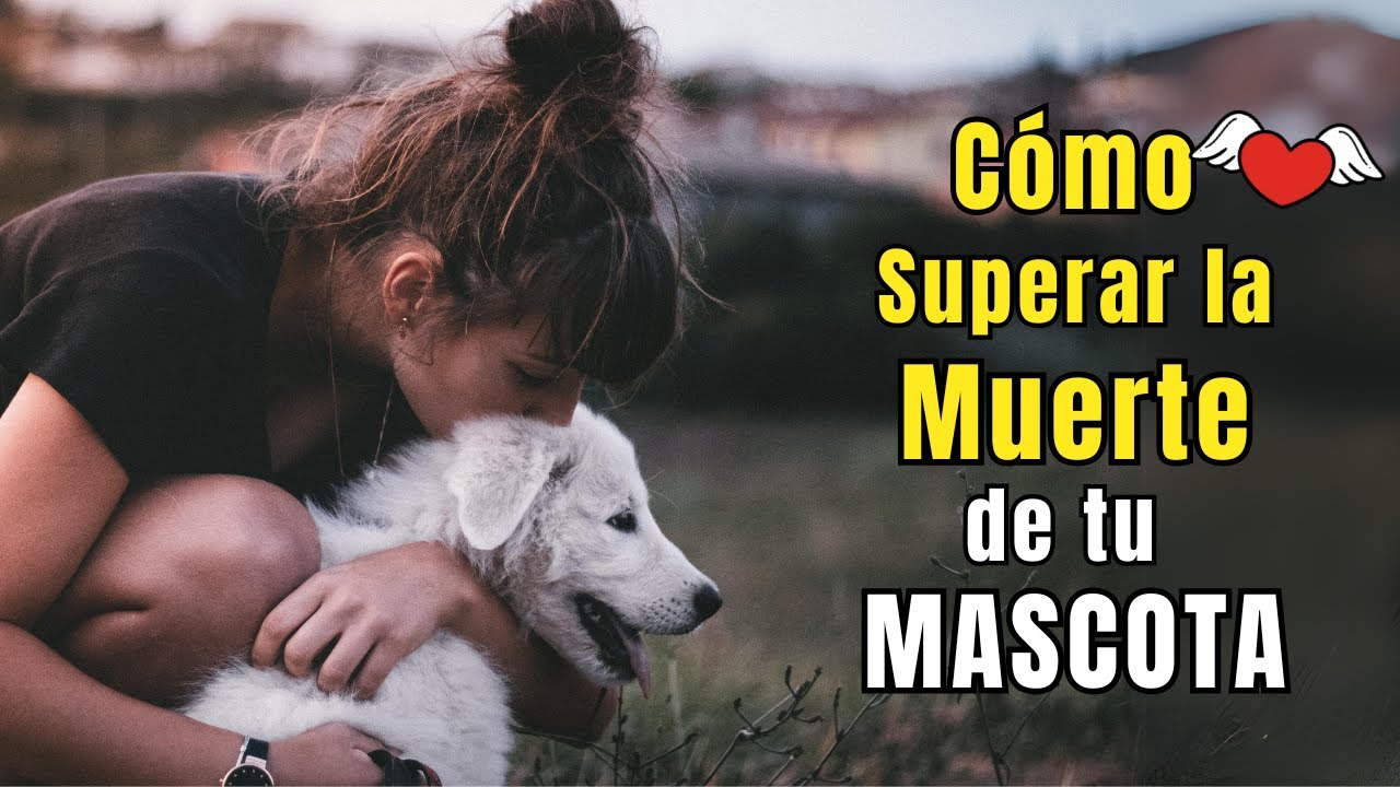 💔 Cómo SUPERAR y Afrontar la MUERTE de tu MASCOTA (Perro, Gato, Conejo) 🐶🐱🐰 Sanando el Alma