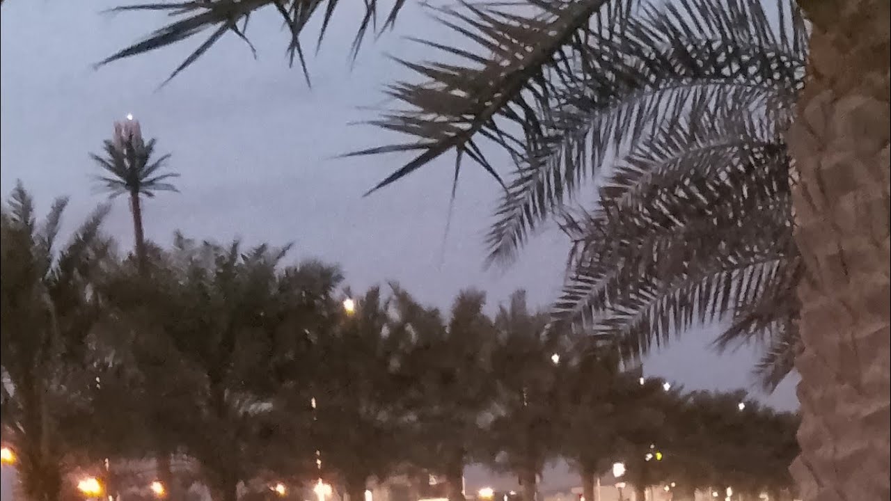 susu ነኘ ከ እንሴኖ የቅመሞች ጣበቃ  ቀጥታ ስርጭት ላይ ነው!ኑ as wr wb እንደማማር አደሴች