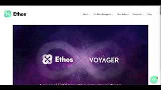 Voyager Token Utility! What is to come! The Cryptoe Ant