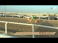 ش5 نهب لـ صالح علي حسين ابوليله المري ميدان لبصير بالمحلي الثاني 24 09 2025ص حقايق بكار 4 35 81 