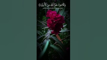مقطع من سورة الضحى بصوت الشيخ عبد الباسط عبد الصمد رحمه الله #nature