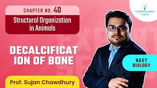 Decalcification of Bone | Structural Organization in Animals | NEET | Biology - TG Campus