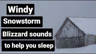 Snow Storm Sleep Sounds 1 Hour [Blizzard Sounds For Sleeping]