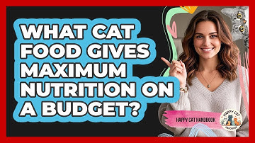 What Cat Food Gives Maximum Nutrition On A Budget? - Happy Cat Handbook