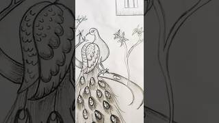 Simple Peacock Sketch For Beginners 🦚#artshort #reelviral #drawing #reelviral #peacock