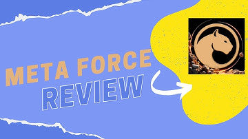 Discover @MetaWhale-Official : Gaming Meets Blockchain!