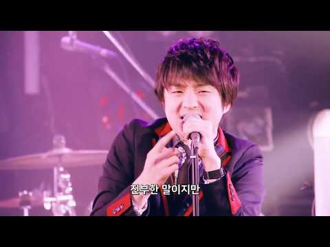 오피셜 히게단디즘 개인지 고양이인지 죽을 때까지 싸워보자 이단 스타 Live 
