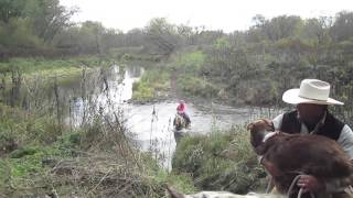 The River Crossing