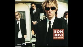 Bon Jovi-It's My Life (instrumental)