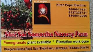 Shri Sai Samarth Nursery Farm Nashik