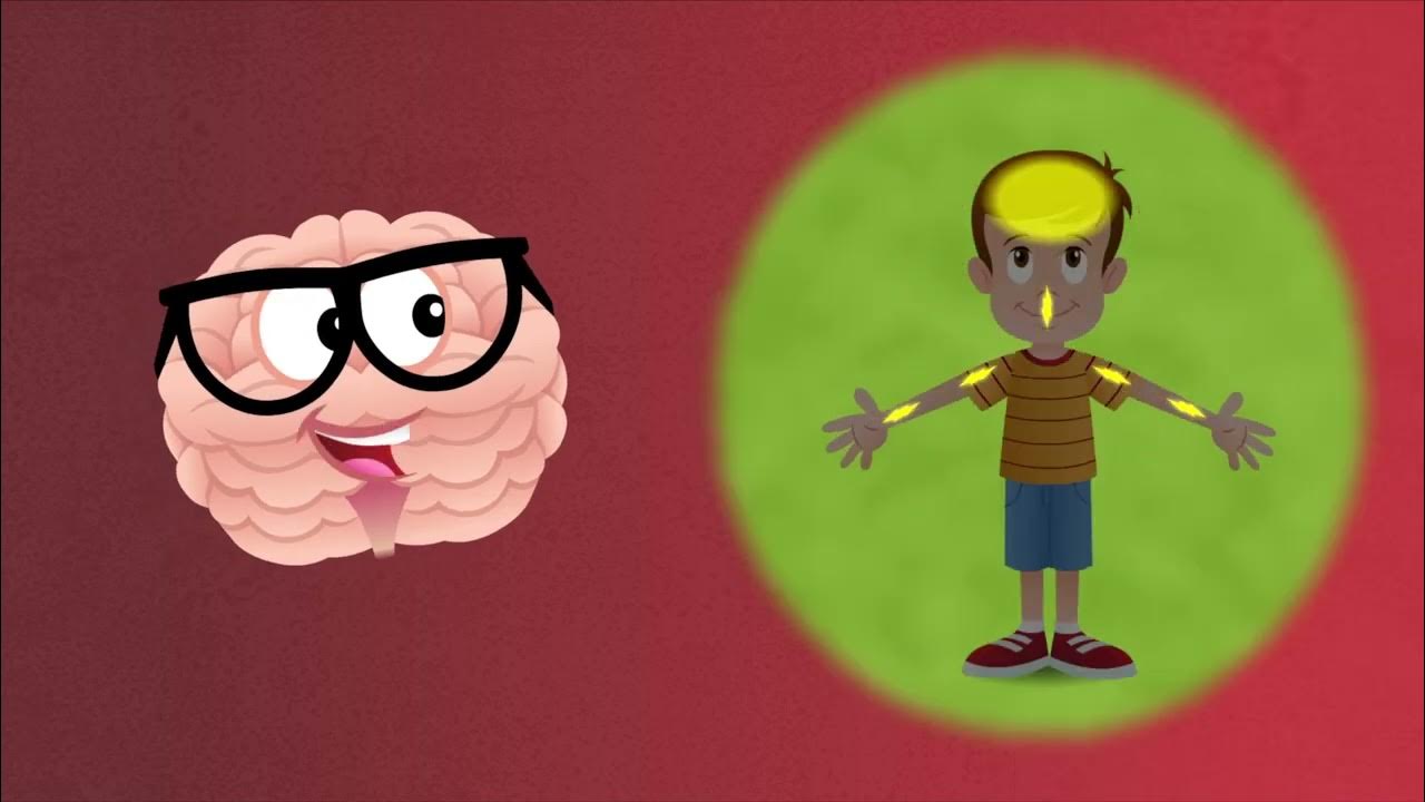 Brian the Brain YouTube