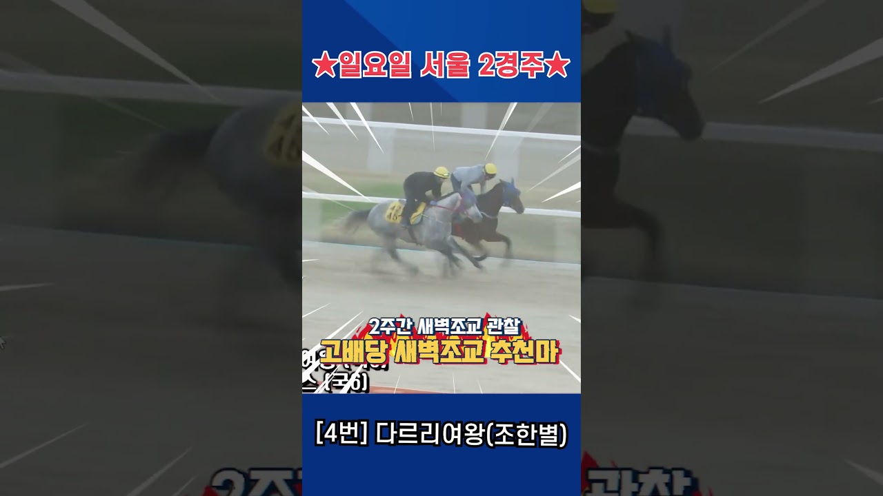 5월3일 일요일 서울 2경주!! 2주간 훈련보인 강백호의 새벽조교 쏘스마!!