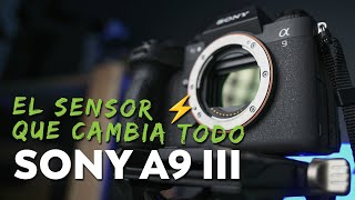 Vídeo: Sony A9 III + 100-400mm f4.5-5.6 GM OSS