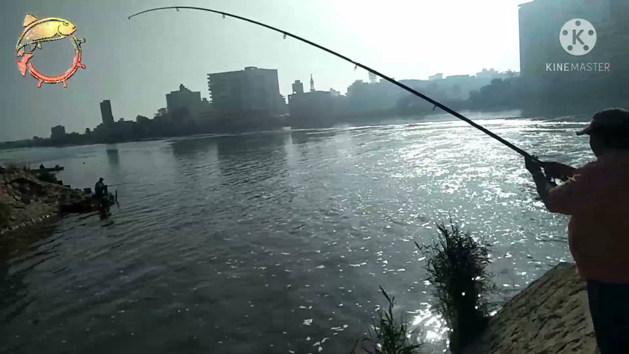 صيد سمك المنصوره طلخا سمك ثقيل وشكر خاص على الالف مشترك ꧁ 2021/4/28/29꧂