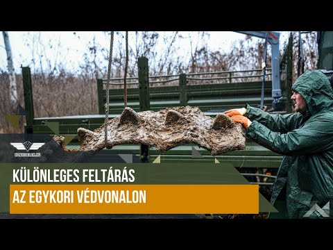 Videó: Különleges