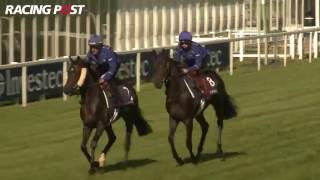 2016 Investec Derby Preview