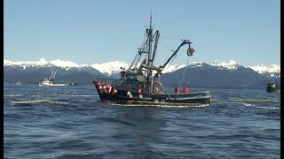 2007 Inner Point Sac Roe Herring Fishery