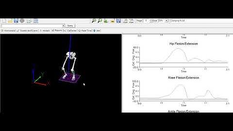 Visual3D Biomechanics motion analysis