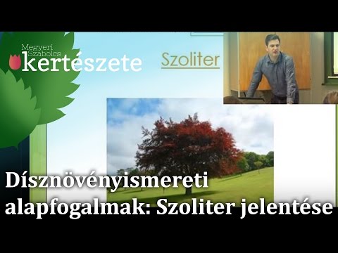 Videó: Kiszáradt a szinonimája?