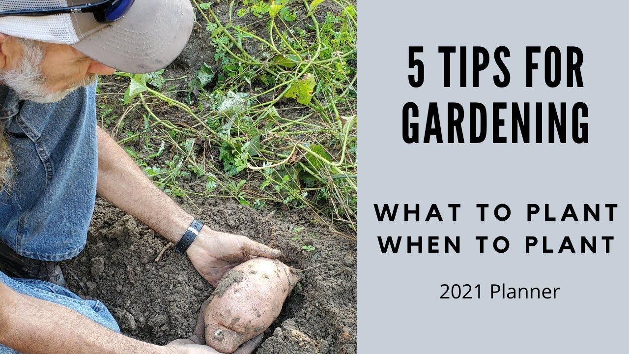 5 Tips for Growing Your OWN FOOD at HOME - YouTube