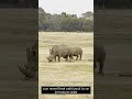 Mind-Blowing Animal Superpowers Science Can't Explain 🦎