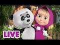 🔴 LIVE 🐻👧 Masha y el Oso 2023 🏡🤗 Lección de hospitalidad 🎬 Masha and the Bear