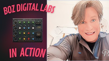 BOZ DIGITAL LABS PLUS 10DB V 2 IN ACTION