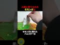 モモンガに憧れたハムスターの秘密🤫暴露します🔥