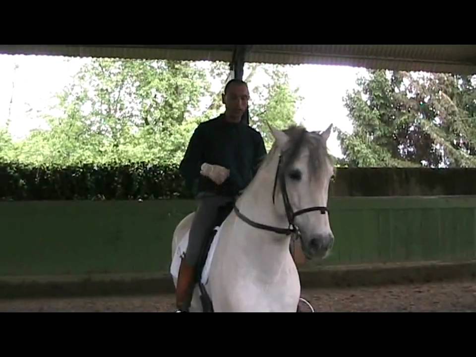 Equitazione Classica Dressage - Francesco Vedani - Cambio di galoppo al volo