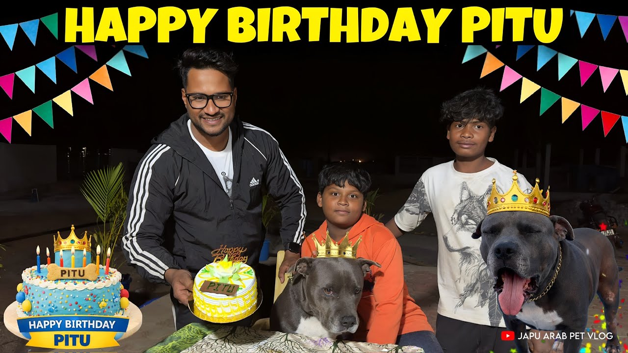 12 ବର୍ଷରେ ପାଦ ଦେଲା PITU || HAPPY BIRTHDAY PITU 💐|| 