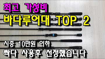 최고의 가성비 바다루어대 Top 2
