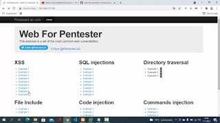 Web For Pentester Lab XSS Solution(Çözüm)