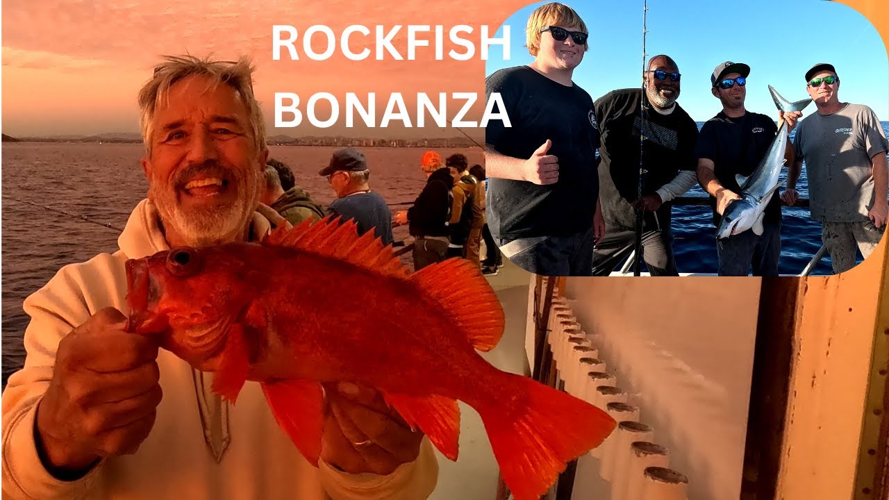 Кузен Джим Фишс: Премьерный праздник ловли бонита и обилие морских окуней!