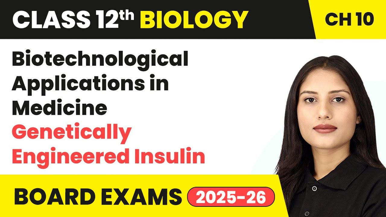Biotechnological Applications in Medicine - Genetically Engineered Insulin | Class 12 Biology Ch 10