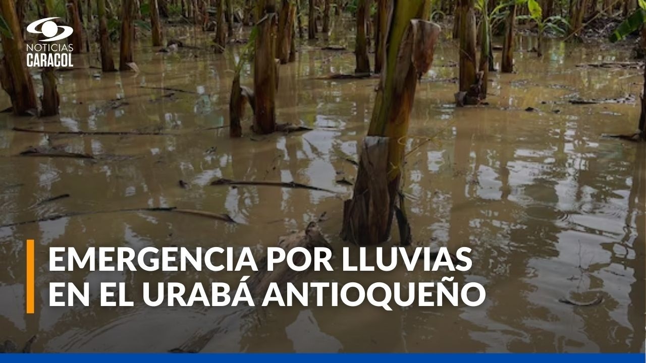 Lluvias dejan más de 2.000 familias damnificadas en el Urabá antioqueño y otros departamentos