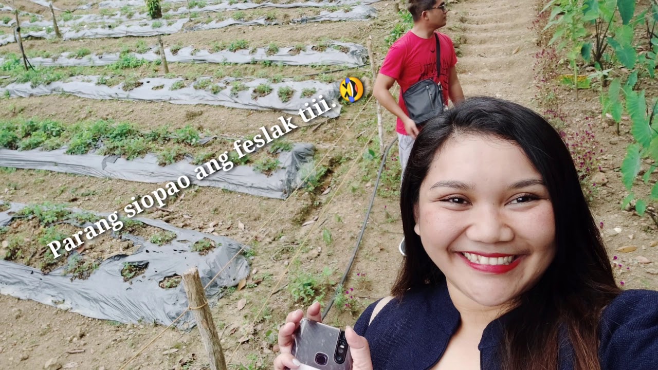 Lapaz Strawberry Farm🍓 Zamboanga City YouTube