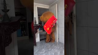 New Funny Videos 2023, Chinese Funny Video try not to laugh short P193
