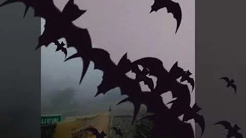 Emo ekkadundo.............