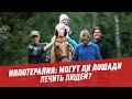 Иппотерапия: могут ли лошади лечить людей – Шоу Картаева и Махарадзе